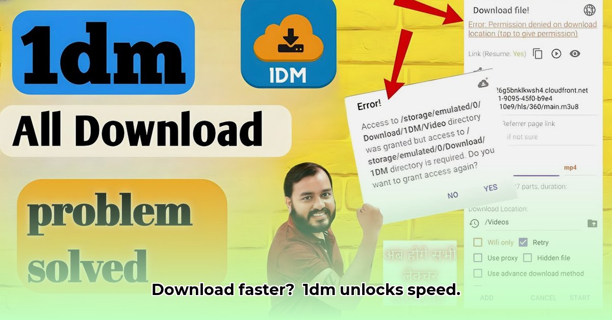 1dm-online
